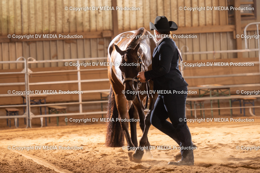 NID00081 | dv-media-shop - Realisiert mit Pictrs.com