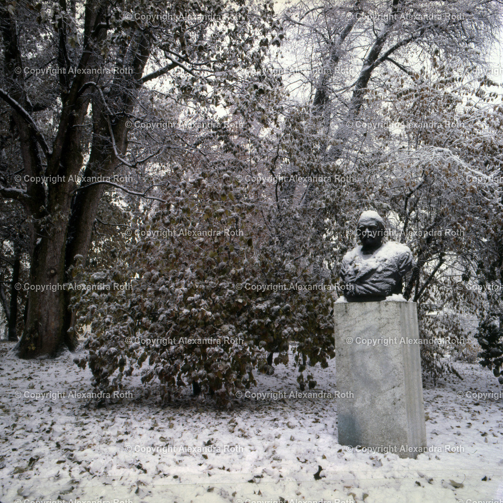 Aarau_0971 | onlineshop - Realisiert mit Pictrs.com