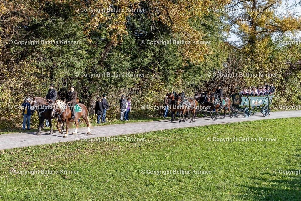 LBT24-375 | foto-bettina-krinner - Realisiert mit Pictrs.com