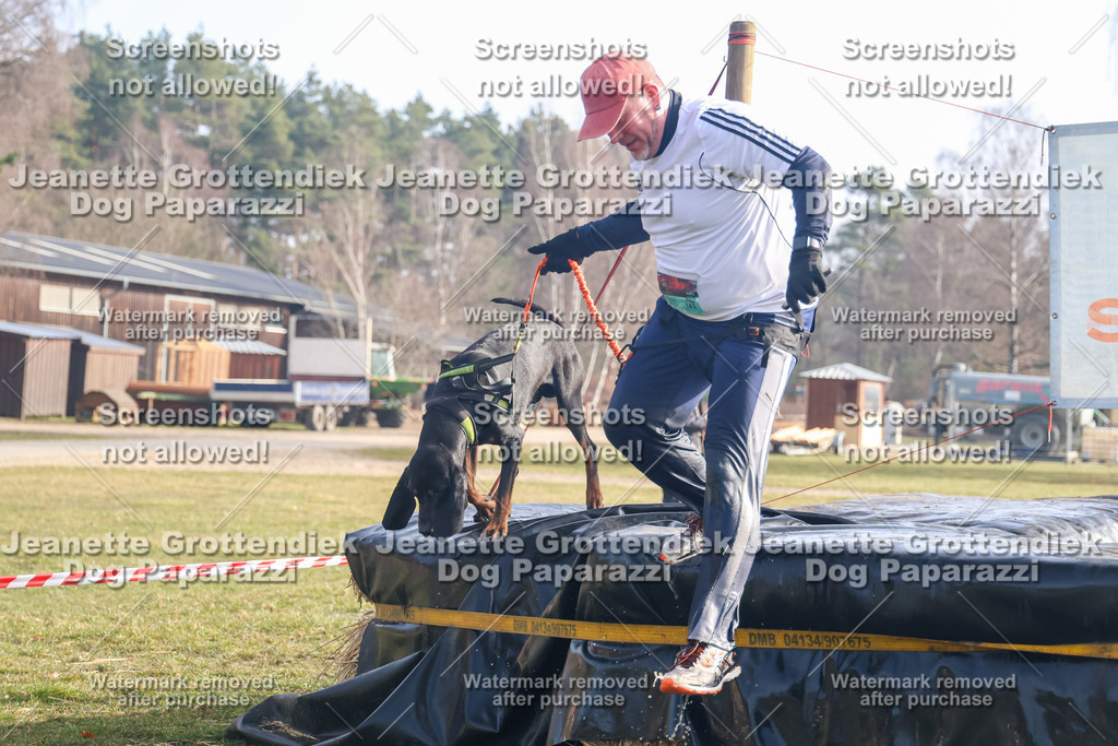 Dog Paparazzi - Strongdog North Mrz26-310 | Dog Paparazzi Jeanette Grottendiek Fotografie & Videografie - Realisiert mit Pictrs.com