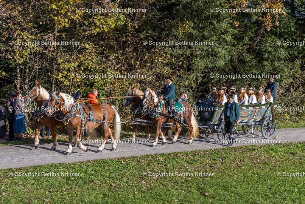 LBT24-302 | foto-bettina-krinner - Realisiert mit Pictrs.com