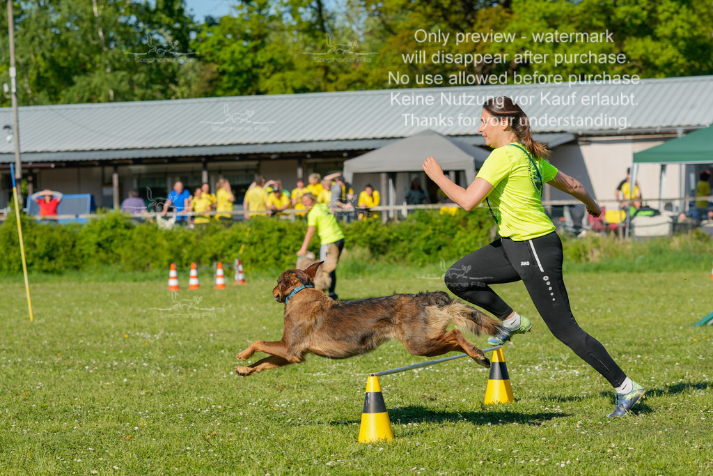 Sa_CSC-480 | stephaniefillaphotographie - Realisiert mit Pictrs.com