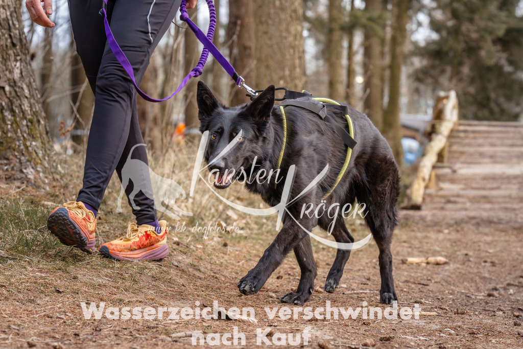 1651_ZZ95063 | kk-dogfotos