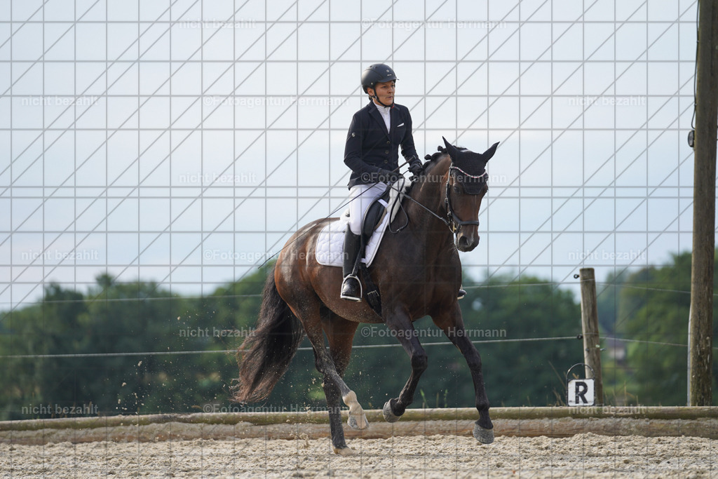 20230826-FAH04496 | Forstinning, 2023, Dressurturnier, Turniersportbilder, Turnierfotografen Bayern, Fotoagentur Herrmann, Reitsportfotografie, Turnierbilder