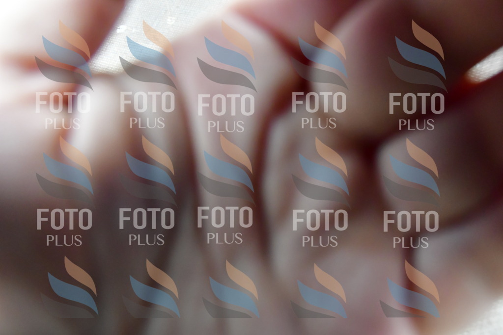 _DSC4046 | holidayphoto