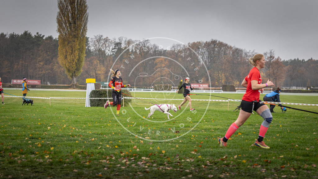 CaniXpix_DV3A8875 | Hundefotografie, Tierfotograf, Pfotenfotografie, Fotoshooting Hund, Hunde Portrait, Hundesport, Hundeportraits, Heideshooting, Hunde, Sportfotograf, Hundefotograf, Turnierhundsport, THS,  - Realisiert mit Pictrs.com