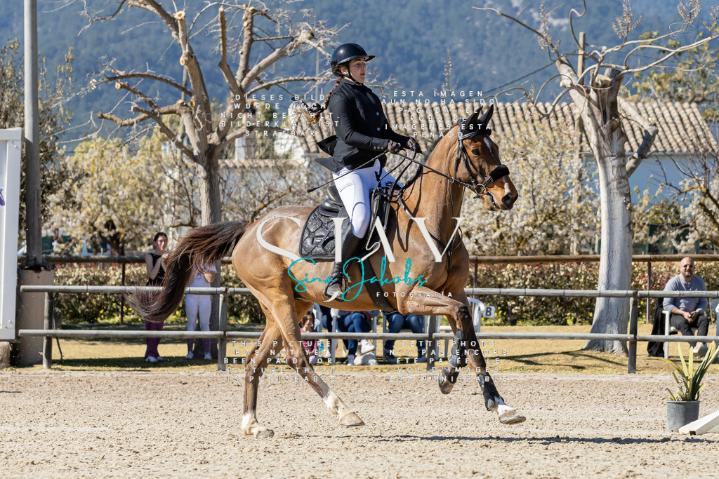 IMG_0314 | s-jay-photography - Realisiert mit Pictrs.com