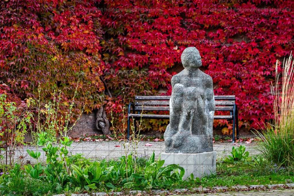 20251019172045D75_8929 | Kaufen sie online außergewöhnliche Fotografien auf Leinwand Acrylglas Fotoprint Aludibond von holgerweigeltfotografie - Realisiert mit Pictrs.com