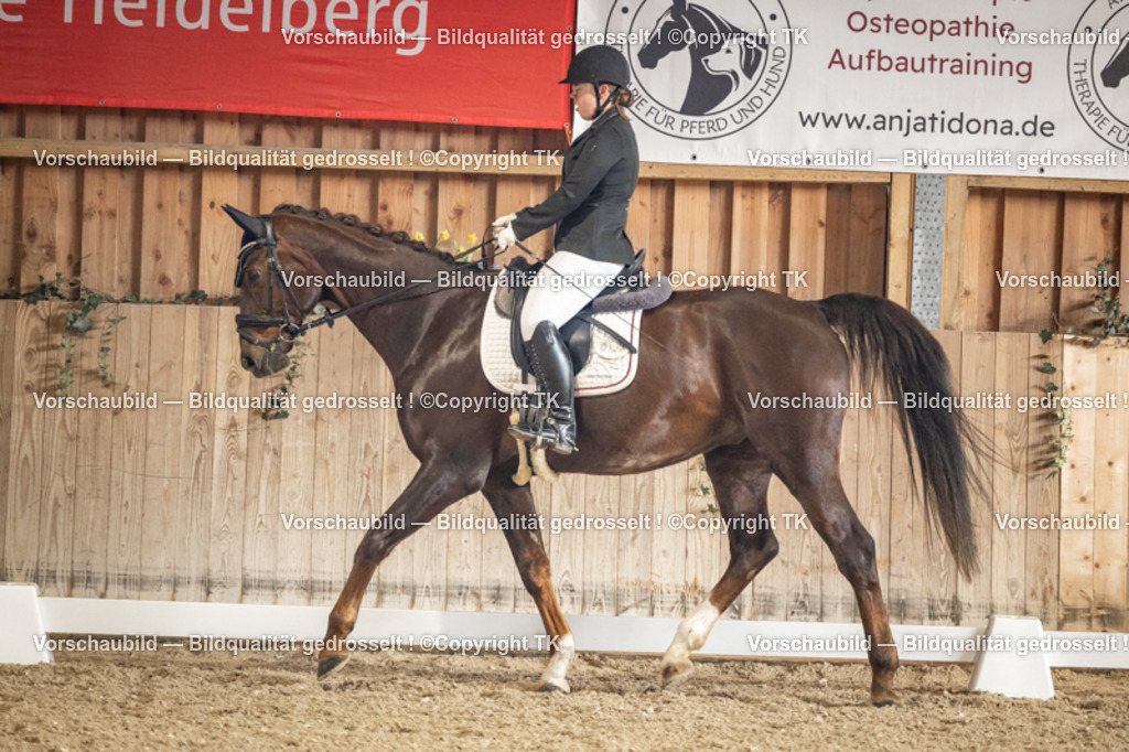 _D5A1305 | Emotionale Pferde- & People-Fotografie rund um Heidelberg, Leimen & Umgebung. Natürliche Fotos von Pferd, Mensch & Familie. Jetzt Termin sichern!