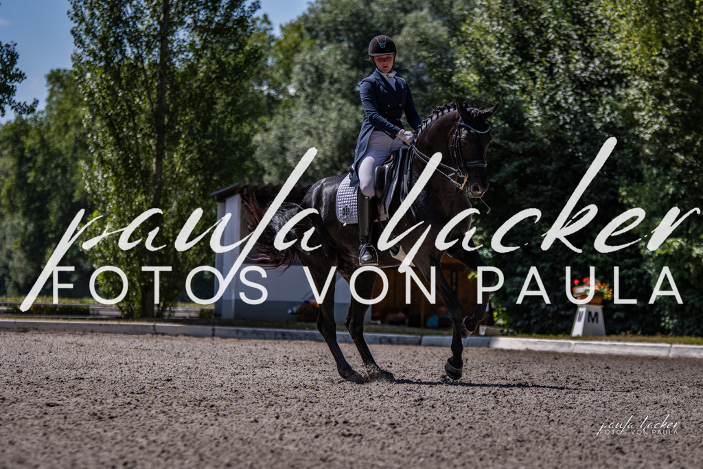 IMG_8507 | Erleben Sie dynamische Sport- und emotionale Tierfotografie in Süddeutschland mit Fotos von Paula. Spezialisiert auf Pferde- und Hundefotografie sowie Sportevents. Kontaktieren Sie mich für einzigartige und ausdrucksstarke Bilder Ihrer besonderen Momente. - Realisiert mit Pictrs.com