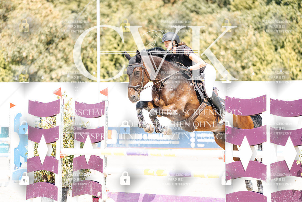 CK901022 | Turnierfotografie Pferdefotografie Trier Rheinland-Pfalz Pferdesport Reitsport Tierfotografie Sportfotografie Pferdevideo Pferdevideografie Equestrianvideography equestrianphotography  - Realisiert mit Pictrs.com