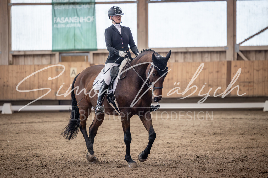 20251011-_3LI9936 | Tierfotografie Pferde, Hunde, Katzen, Haustiere.
Turnierfotografie Reitturniere, Reiten, Springreiten, Dressur in Hanau, dem Main-Kinzig-Kreis und dem Rhein-Main- Gebiet um Frankfurt
