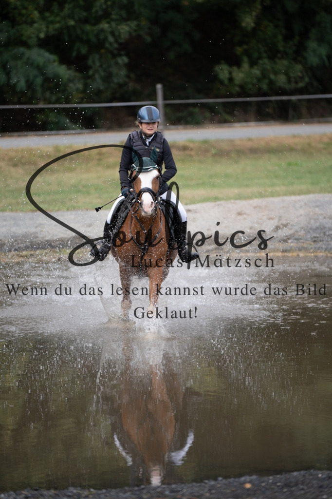 A7V01510 | Pferdefotograf