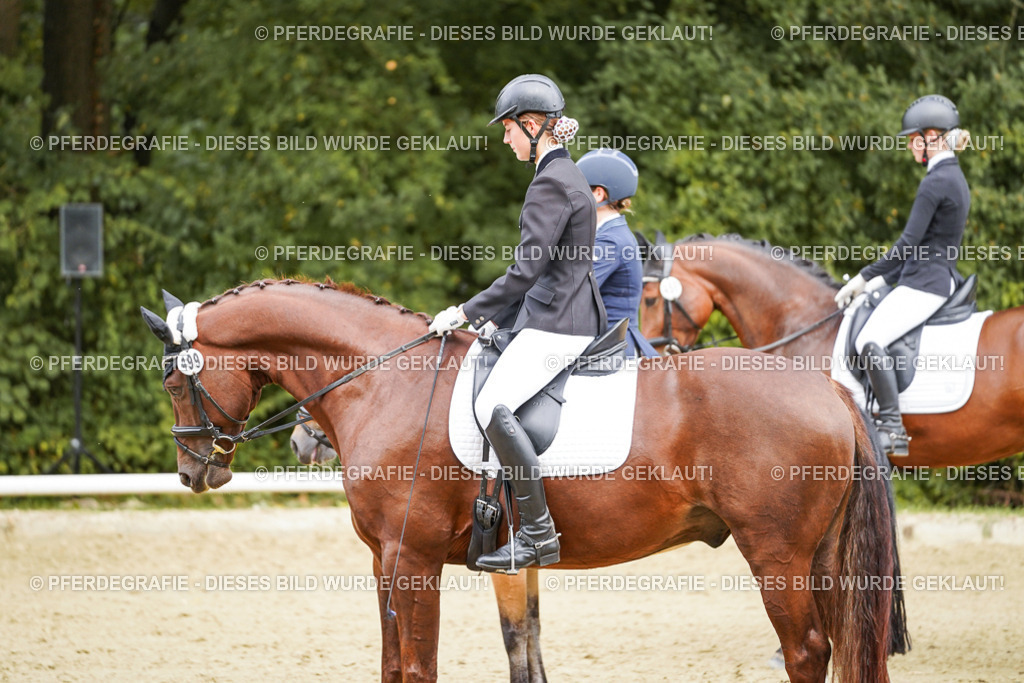 DSC00666 | Pferdegrafie