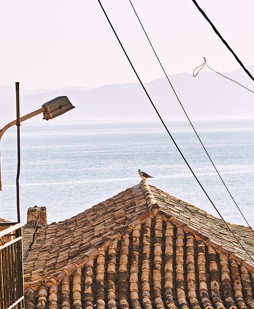 _T6A9254 | prints.tavailable-light.de - Realisiert mit Pictrs.com