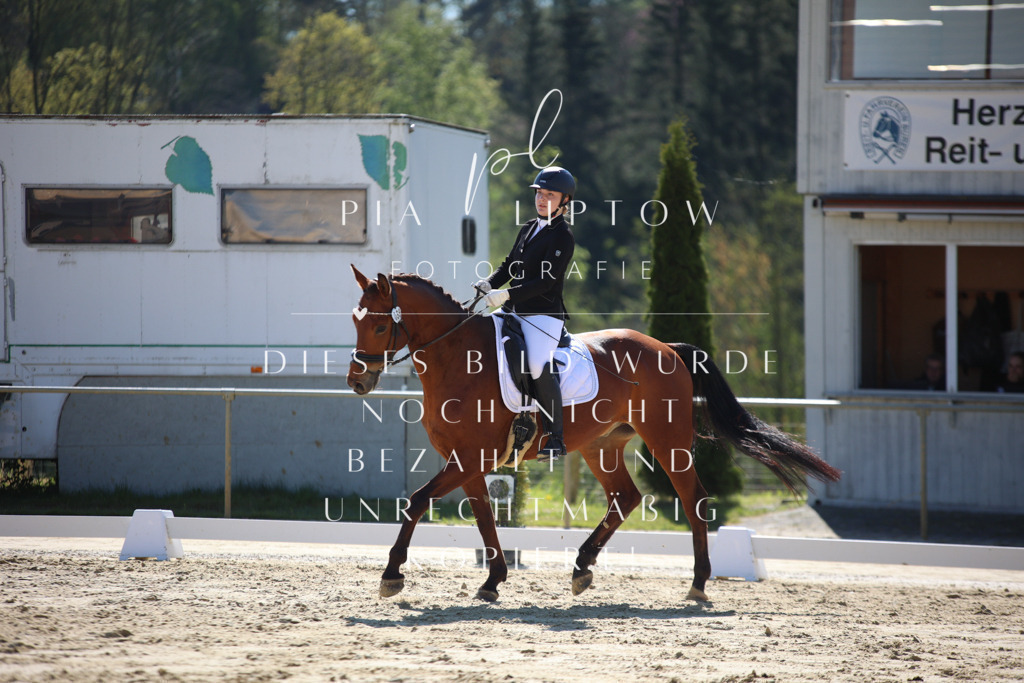 IMGT9619 | pl-fotografie