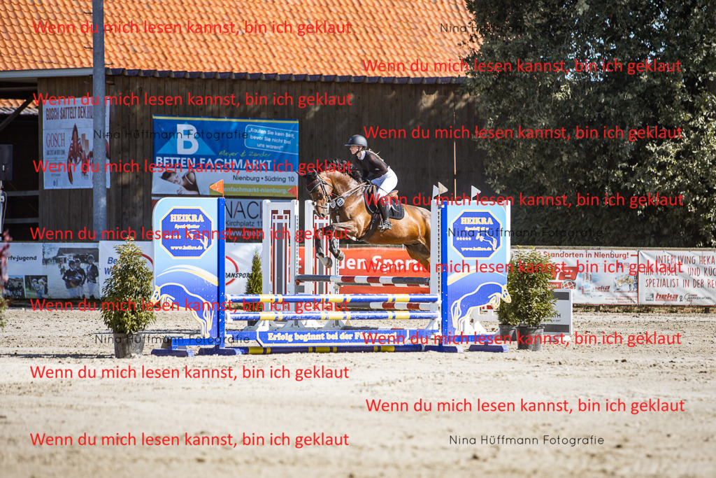 BK1A7997 | Turnierbilder Turnierfotos Nina Hüffmann Turnierfotografie Pferdefotografie Tierzeichnung Haustierzeichnung Pferdezeichnung Hundezeichnung Videograf  - Realisiert mit Pictrs.com