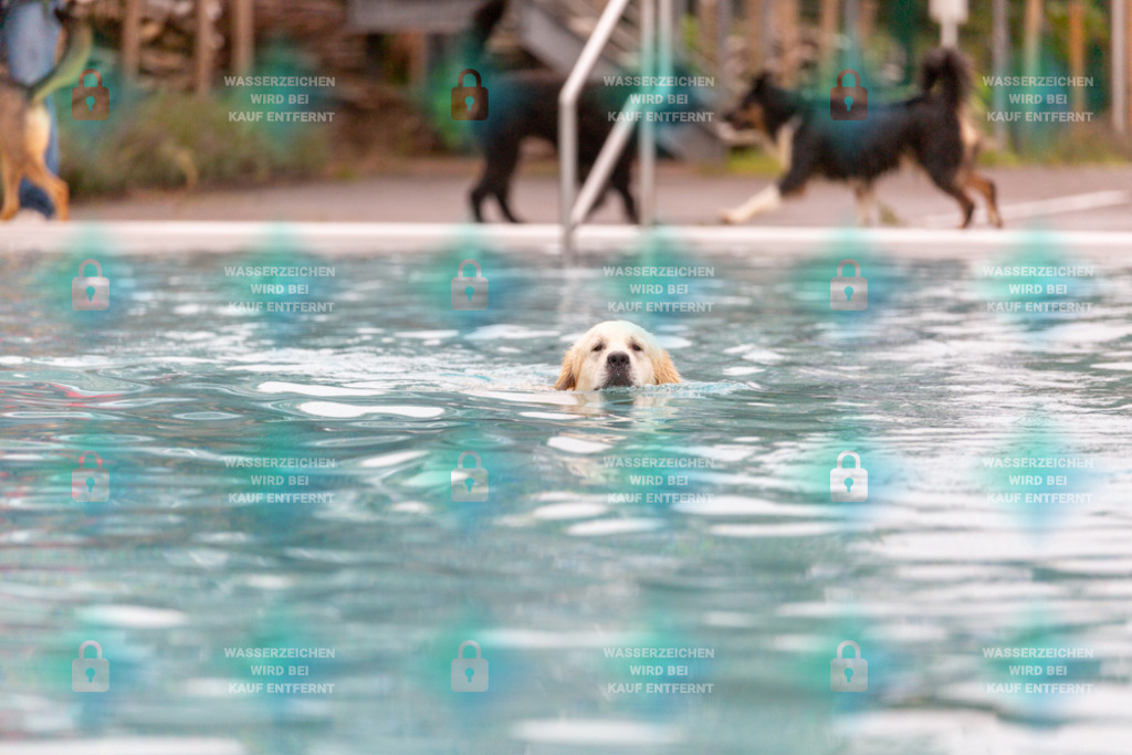 _HP_7121_1000o | HetPix, HetPix Fotodesign, Fotografie, Fotodesign, Webshop, Sportfotografie, Portraitfotografie, Onlineshop, Sportfotografie, Polch, Motorsportfotografie, Eventfotografie