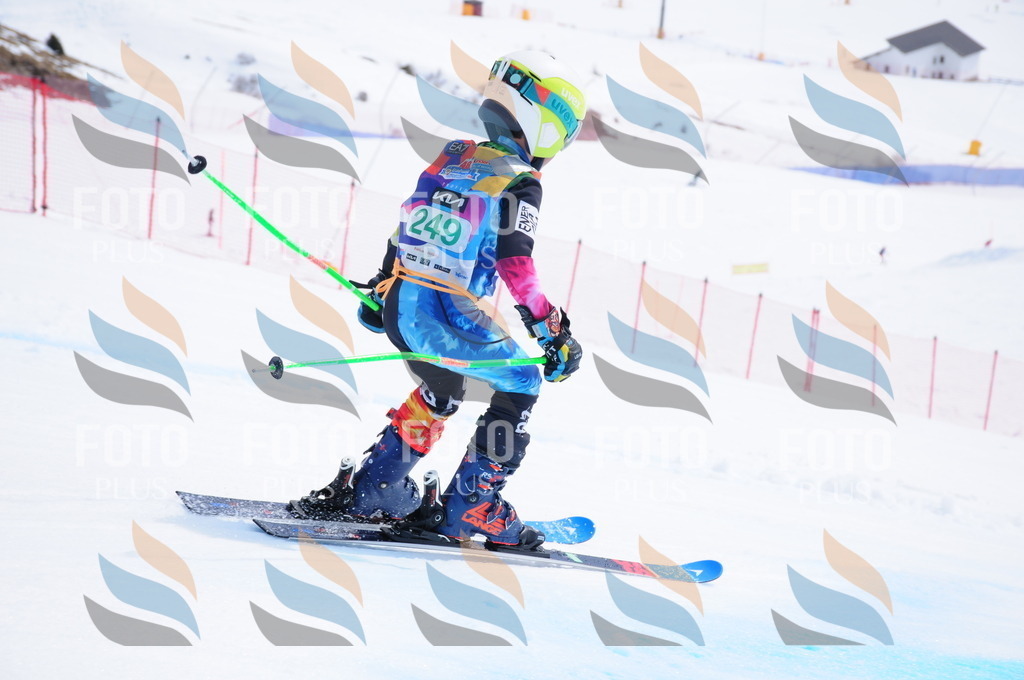 DSC_2350 | holidayphoto