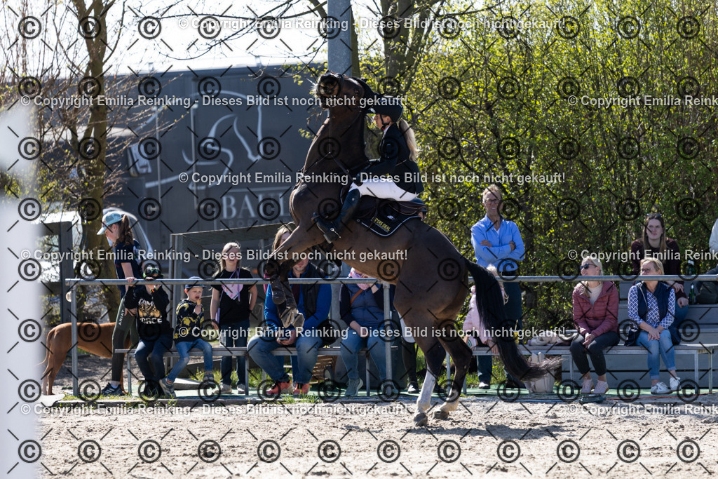 CL5A5935 | Emilia Reinking Fotografie - Realisiert mit Pictrs.com