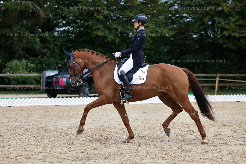 12-220-DRESSUR  S___  -StoibPH-5314 | working equitationturnier fotograf videograf stoibphotography marixx film working equitation deutschland reitsport turnierfotografie eventfotografie equestrian events