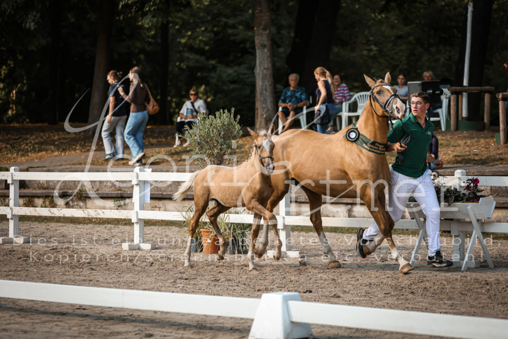 11.DoRP00188 | Leoni Ertmer Photography - Realisiert mit Pictrs.com