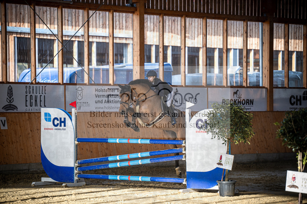 DOS_0786 | Entdecke hochwertige Reitturnierfotos von Foto Oger. Professionell, emotional und authentisch – jetzt Lieblingsmomente im Shop bestellen.Deutschlandweite Turnierfotografie. - Realisiert mit Pictrs.com