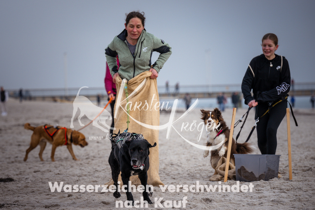 1300_ZZ97640 | kk-dogfotos