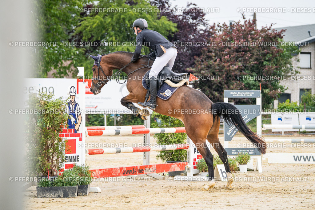 DSC09363 | Pferdegrafie