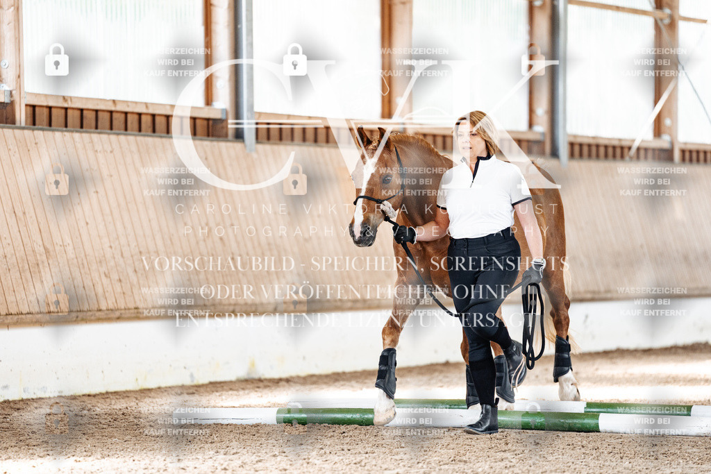 CK905586 | Turnierfotografie Pferdefotografie Trier Rheinland-Pfalz Pferdesport Reitsport Tierfotografie Sportfotografie Pferdevideo Pferdevideografie Equestrianvideography equestrianphotography  - Realisiert mit Pictrs.com