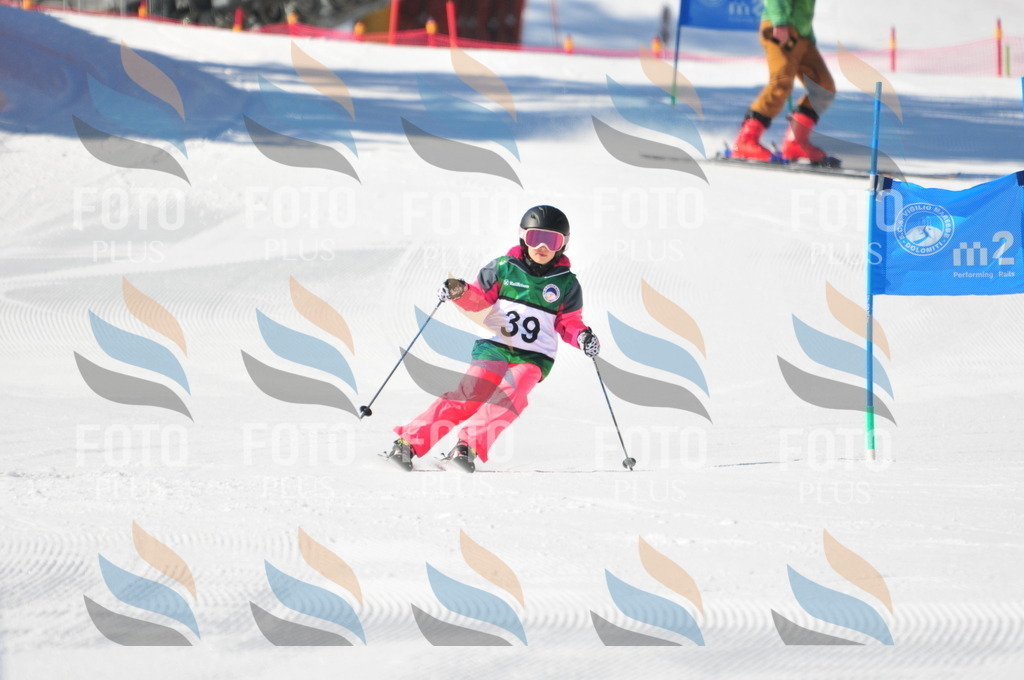 C2713 | holidayphoto