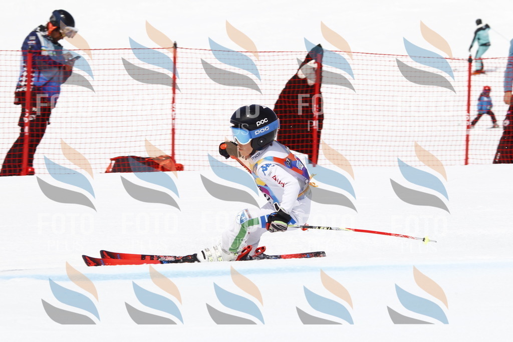 _U3G5734 | holidayphoto