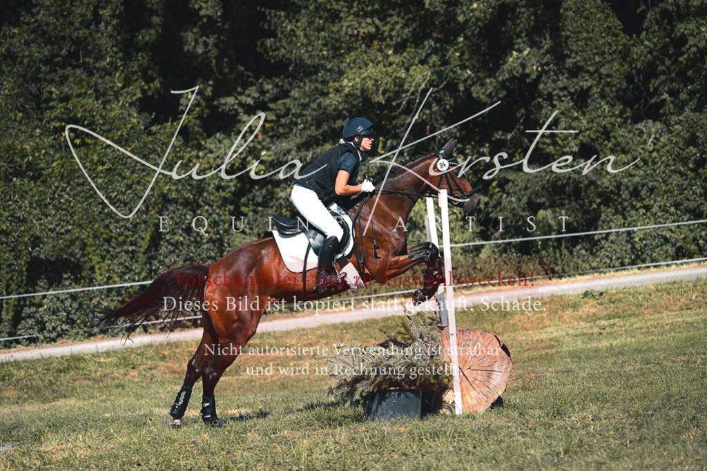 DSC_7859 | Pferde- und Turnierfotografie in Westsachsen. Pferdeportraits, Auftragszeichnungen und intuitive Kunst.