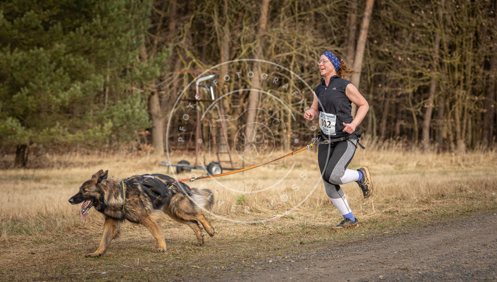 DV3A4083 | Hundefotografie, Tierfotograf, Pfotenfotografie, Fotoshooting Hund, Hunde Portrait, Hundesport, Hundeportraits, Heideshooting, Hunde, Sportfotograf, Hundefotograf, Turnierhundsport, THS,  - Realisiert mit Pictrs.com