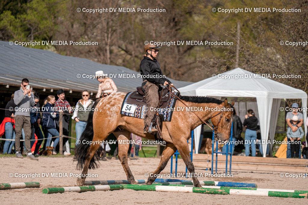 BAL02779 | dv-media-shop - Realisiert mit Pictrs.com