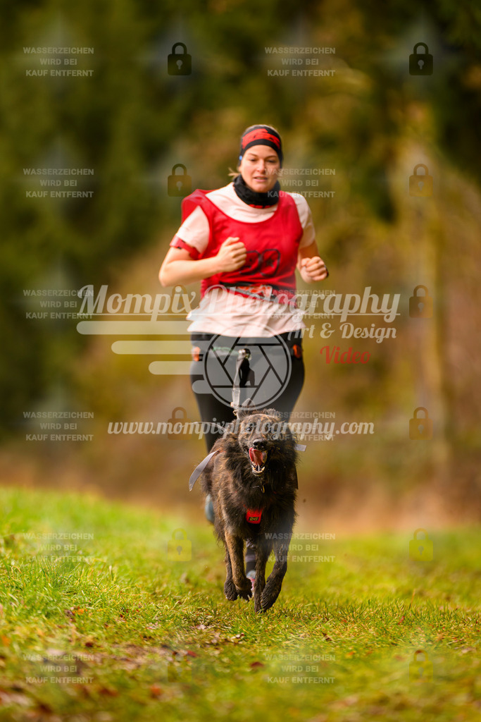MompixPhotography_2SSTSSBW_2025_SO_Canicross-27 | PayLife