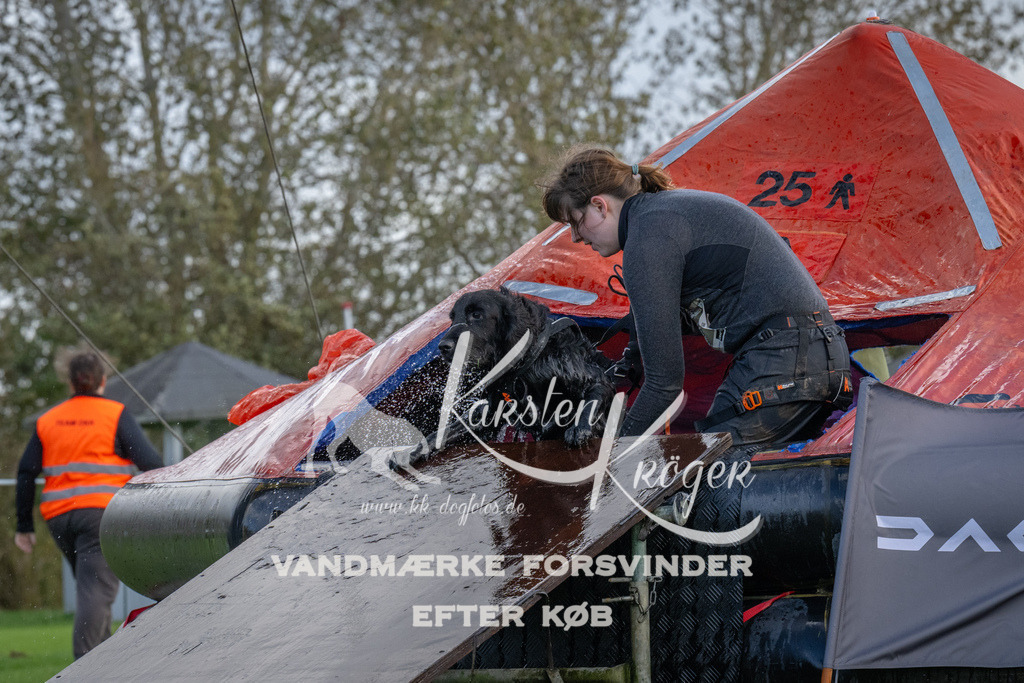 1227-93787 | kk-dogfotos