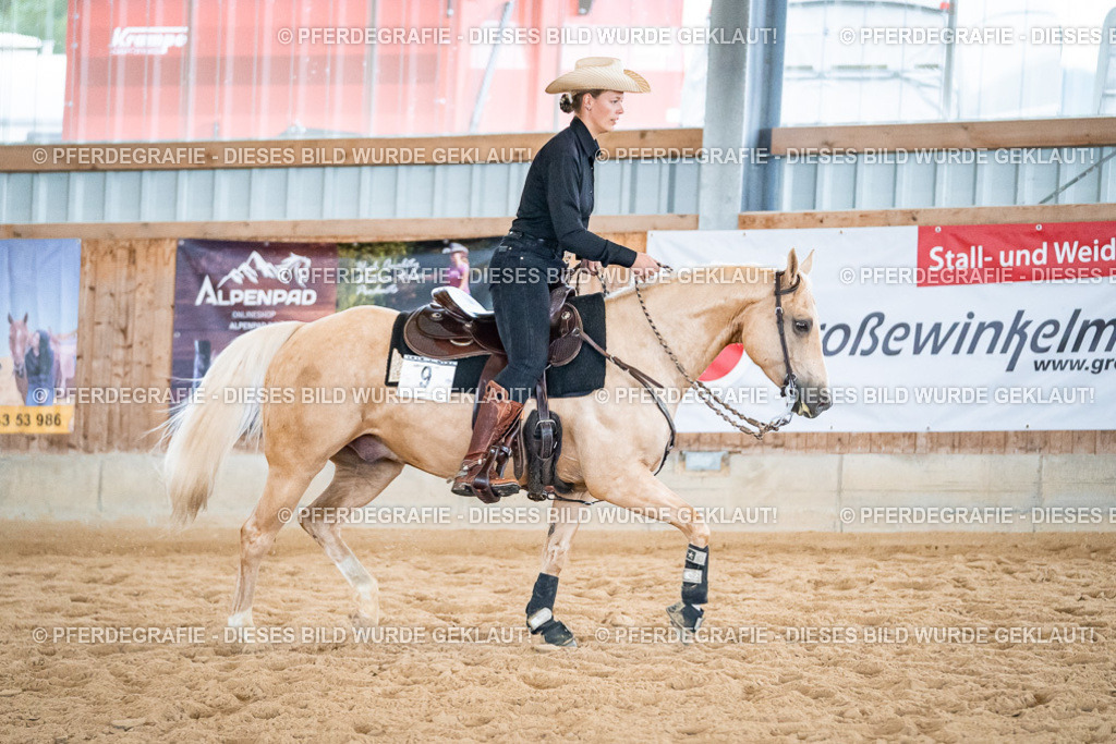 DSC03028 | Pferdegrafie