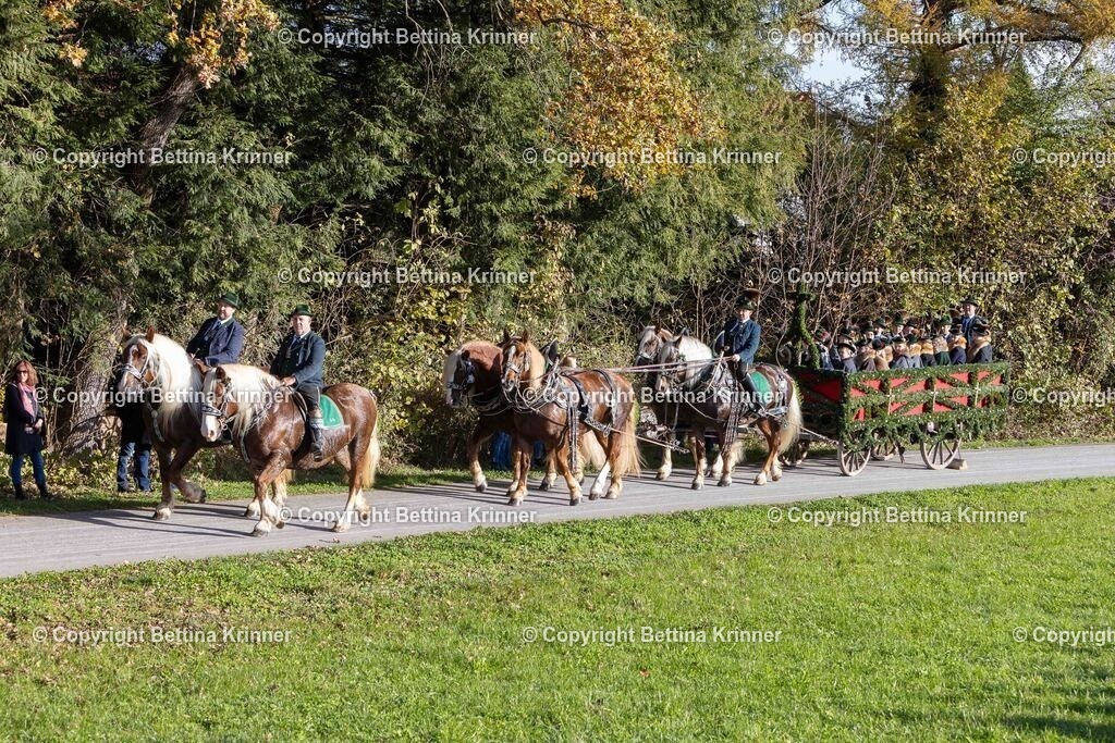 LBT24-148 | foto-bettina-krinner - Realisiert mit Pictrs.com