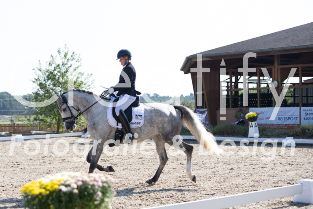 IMG_3808 | Creatify Fotografie