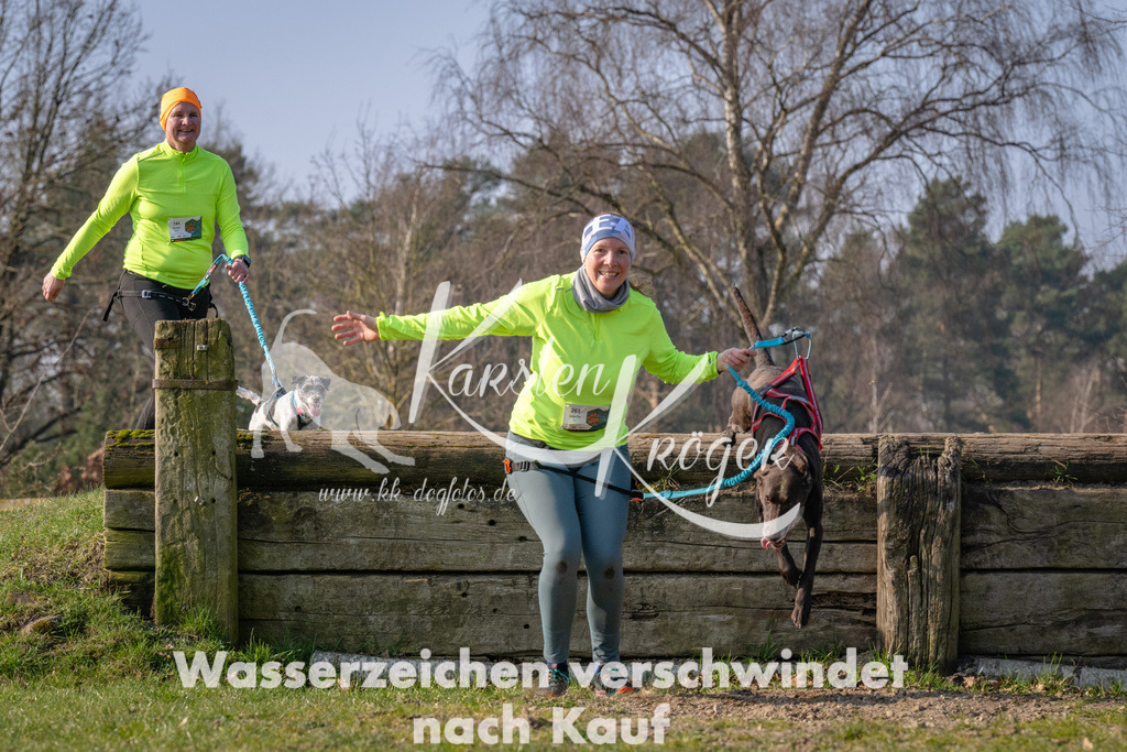 _ZZ92736 | kk-dogfotos