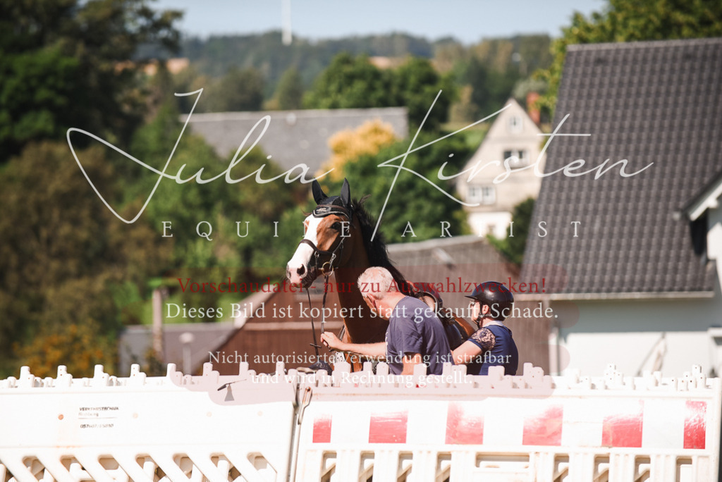 DSC_2839 | Pferde- und Turnierfotografie in Westsachsen. Pferdeportraits, Auftragszeichnungen und intuitive Kunst.