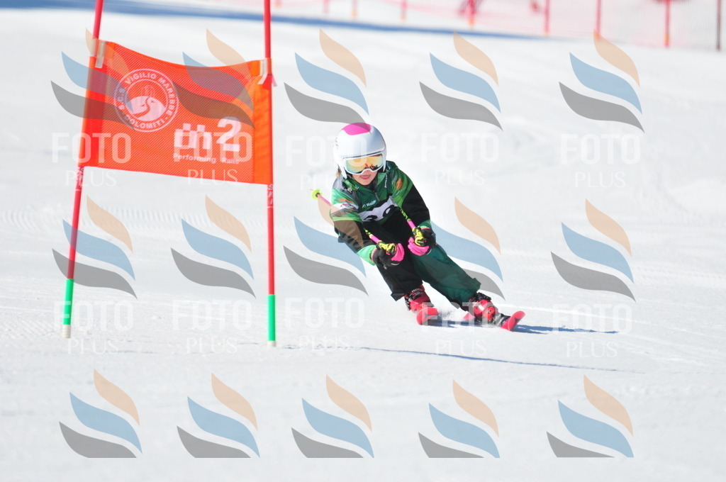 C2705 | holidayphoto