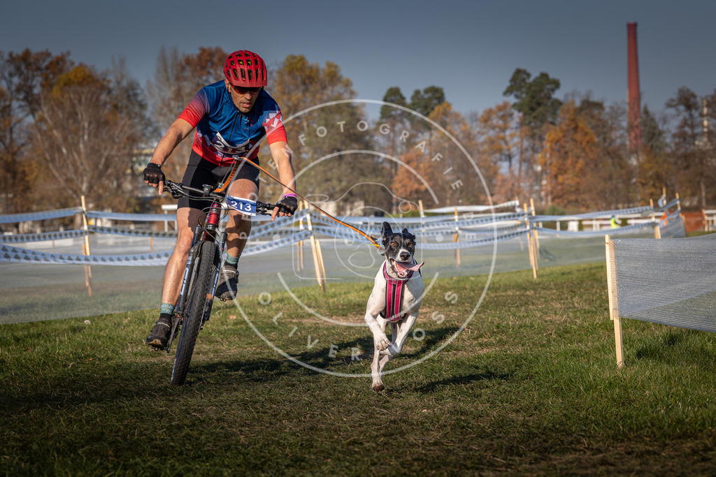 CaniXpix_0L8A6538 | Hundefotografie, Tierfotograf, Pfotenfotografie, Fotoshooting Hund, Hunde Portrait, Hundesport, Hundeportraits, Heideshooting, Hunde, Sportfotograf, Hundefotograf, Turnierhundsport, THS,  - Realisiert mit Pictrs.com