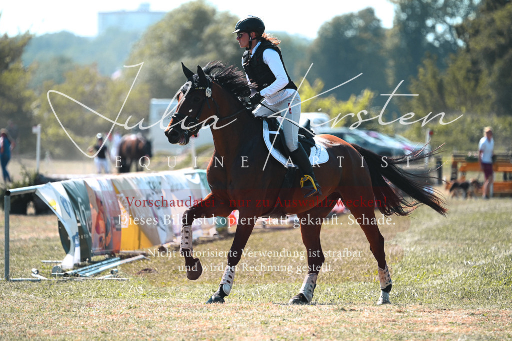 DSC_8294 | Pferde- und Turnierfotografie in Westsachsen. Pferdeportraits, Auftragszeichnungen und intuitive Kunst.