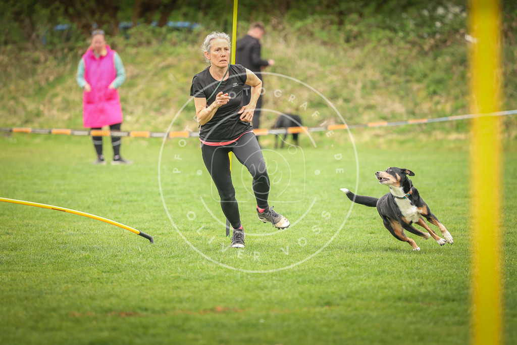Pfotenfotografie_0L8A0034 | Hundefotografie, Tierfotograf, Pfotenfotografie, Fotoshooting Hund, Hunde Portrait, Hundesport, Hundeportraits, Heideshooting, Hunde, Sportfotograf, Hundefotograf, Turnierhundsport, THS,  - Realisiert mit Pictrs.com