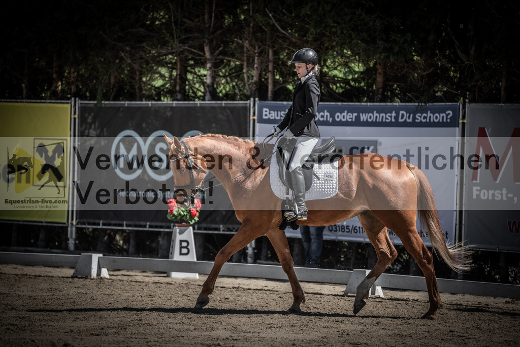 DSC_0085 | equestrian-live-com