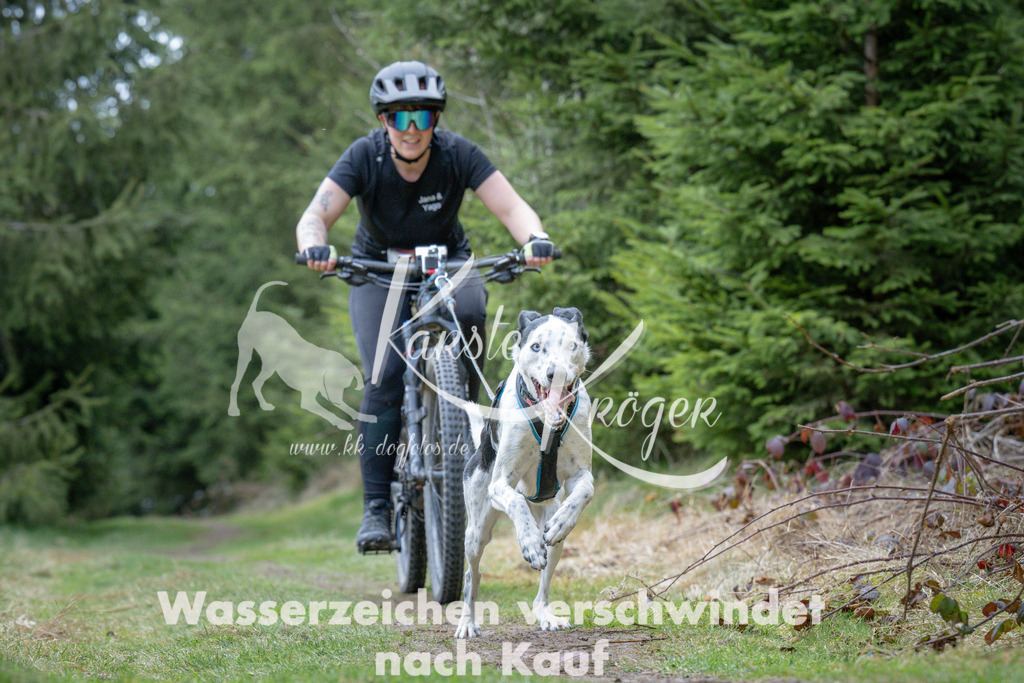 1311_ZZ93946 | kk-dogfotos