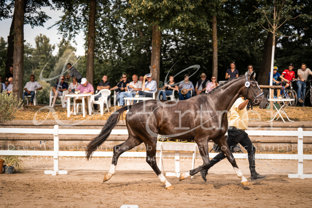 7.Fr00080 | Leoni Ertmer Photography - Realisiert mit Pictrs.com