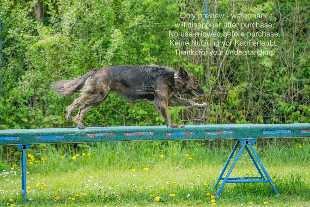 Sa_Laeufe_VK1und2_06-50 | stephaniefillaphotographie - Realisiert mit Pictrs.com